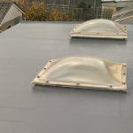 Roofing With Light Panels