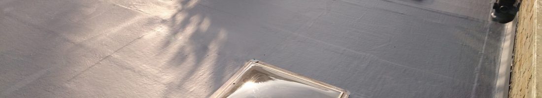 Roofing With Light Panels